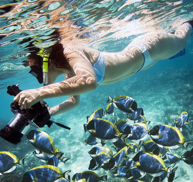 How to Take Great Photos Underwater